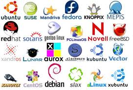 Best Linux Distributions